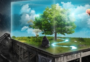 стекло, горилла, hope, апокалипсис, надежда, Last, последняя