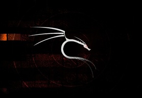 2012, наступающий, новый год, Белый, дракон, фон, черный