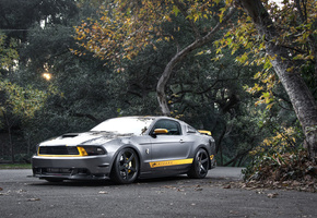 серебристый, silvery, мустанг, мускул кар, Ford, gt, mustang, форд