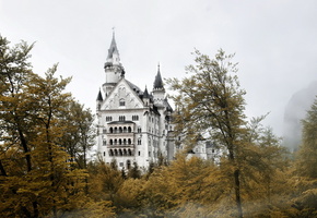 туман, Замок, деревья