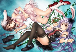 кроличьи, reisen udongein inaba, девушки, inaba tewi, tid, Арт, уши, touhou