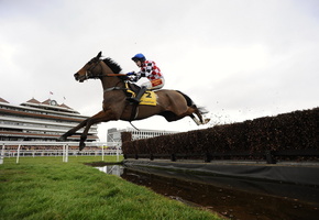 Спорт, прыжок, всадник, конь