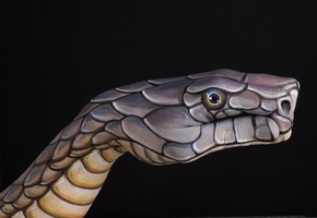 креатив, художник, ручной, Змея, итальянский