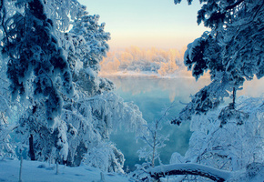 лес, снег, Зима, сказка