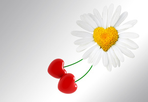 Сердце, ромашка, цветок, love, праздник, фон