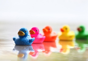 Настроения, цветные, синий, голубой, утки, красочные