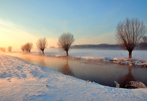деревья, канал, свет, Зима, лебедь, река