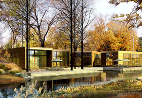 деревья, Природа, листья, осень, желтые, листва