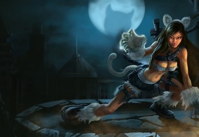 девушка, хвост, League of legends, ночь, оружие, katarina, уши