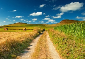 view, scenery, scenic, sky, nature, field, picture, landscape, Byroad, scope, blue