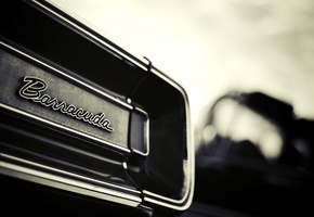 барракуда, muscle car, плимут, надпись, Plymouth, barracuda, макро