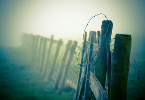 проволка, колючая, Макро, дымка, забор, туман