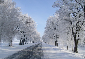 Зима, деревья, снег, дорога