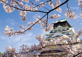 цветы, Пейзаж, весна, храм