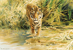 tiger, живопись, рисунок, Donald grant, тигр