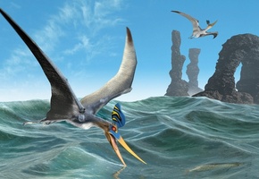 Море, полет, скалы, птеродактиль, птица, арка