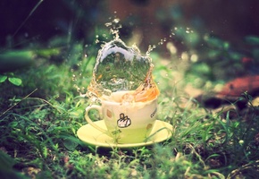 Чашка, чай, green, земля, брызги, блюдце, зелень, трава