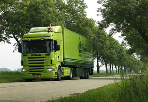 тягач, green, road, грузовик, р500, скания, scania trucks, truck, Scania, r500