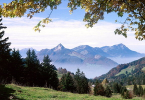 природа, лес, Горы