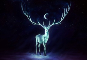 рога, небо, Олень, звезды, луна