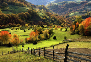 деревья, горы, лес, природа, Пейзаж, трава, зелень
