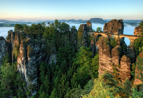 сосны, Горы, рассвет, ели, мост, туман, деревья