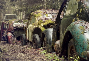 дорога, Машины, лом, мох, лес