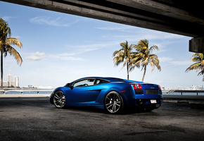 blue, gallardo, ламборгини, галлардо, Lamborghini, ламборджини