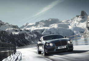 2012 bentley continental gt v8, снег, природа, горы, машина, деревья