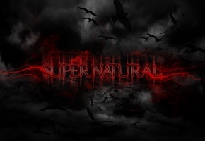 фон, Supernatural, черный, птицы, сверхъестественное