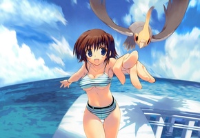 Девушка, море, купальник, попугай