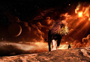 космос, львёнок, огонь, Лев