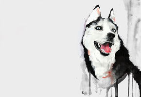 хаска, хаски, Собака, акварель, рисунок, язык