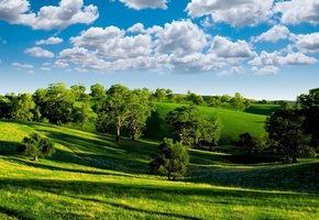 Green valley, зелёная, scenery, trees, photo, landscape, blue sky, clouds, nature