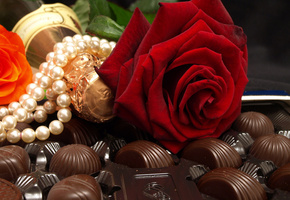 романтика, чувства, цветок, роза, Настроение, любовь