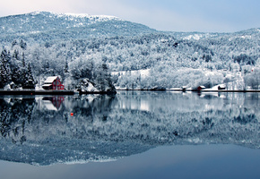 лес, Домик, зима, озеро, холм, небо, деревья