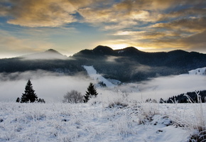 иней, елки, деревья, небо, снег, вечер, холмы, лес, Зима