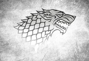 game of thrones, house stark, Волк, игра престолов