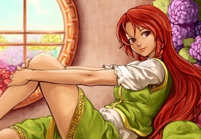 девушка, touhou, цветы, Арт, shiba murashouji, рыжая, hong meiling