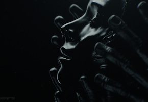 Девушка с татуировкой дракона, the girl with the dragon tattoo