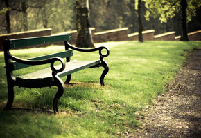 лавочка, Парк, ограждение, скамья, трава, день, лето