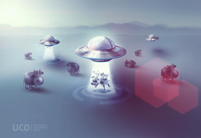 тарелки, коровы, корова, ufo, похищение, тарелка, нло, Uco