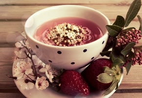 блюдце, листья, цветы, клубника, Чашка