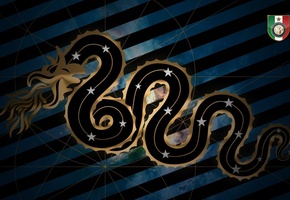 эмблема, змея, футбол, Fc internazionale, футбольный клуб