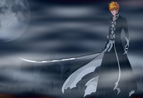 банкай, bleach, Аниме, ichigo kurosaki