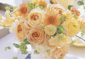 Букет, лепестки, композиция