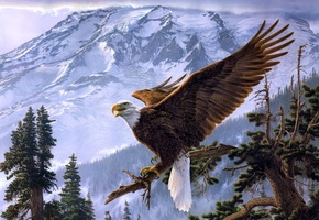 арт, дерево, Lee kromschroeder, орёл, горы