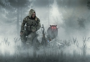 туман, бродяга, сталкер, Stalker