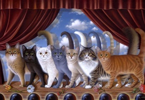 Braldt bralds, арт, кошки, выступление, сцена