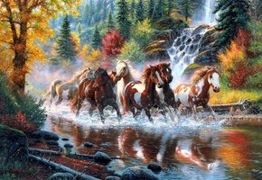 лес, Mark keathley, осень, табун, водопад, лошади, река, кони